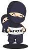 Consultoría ninja s